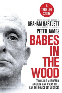 Abbildung von: Babes in the Wood - Pan Books