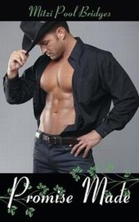 Enlarge image Cover: Promise Made - Wild Rose Press