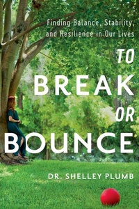 Enlarge image Cover: To Break or Bounce - Greenleaf Book Group LLC