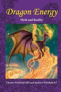Cover: Dragon Energy - New Paradigms