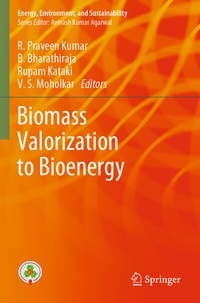 Abbildung von: Biomass Valorization to Bioenergy - Springer