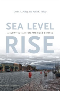 Abbildung von: Sea Level Rise - De Gruyter