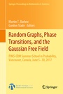 Cover: Random Graphs, Phase Transitions, and the Gaussian Free Field - Springer