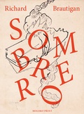 Cover: Sombrero vom Himmel - Moloko Print