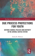Bild: Due Process Protections for Youth - Routledge