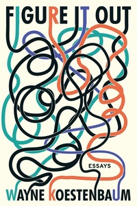 Enlarge image Cover: Figure It Out - Soft Skull Press