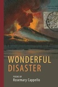 Cover: Wonderful Disaster - Bordighera Press