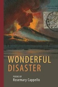Enlarge image Cover: Wonderful Disaster - Bordighera Press