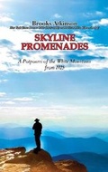 Cover: Skyline Promenades - Ardent Writer Press, LLC