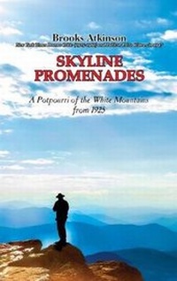 Enlarge image Cover: Skyline Promenades - Ardent Writer Press, LLC