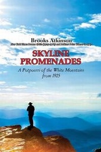 Enlarge image Cover: Skyline Promenades - Ardent Writer Press, LLC