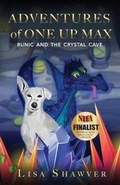 Cover: Adventures of One Up Max - Eliezer Tristan Publishing