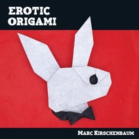 Abbildung von: Erotic Origami - Fit to Print Pub.