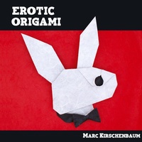 Abbildung von: Erotic Origami - Fit to Print Pub.