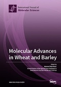 Cover: Molecular Advances in Wheat and Barley - MDPI