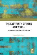Cover: The Labyrinth of Mind and World - Routledge India