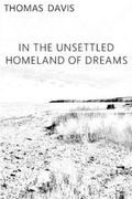 Cover: In the Unsettled Homeland of Dreams - All Things That Matter Press