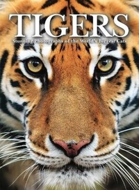 Enlarge image Cover: Tigers - Amber Books