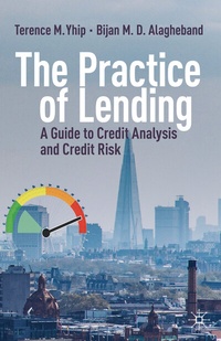 Abbildung von: The Practice of Lending - Palgrave Macmillan