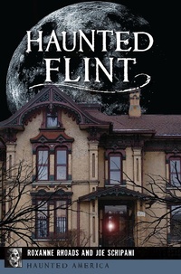 Enlarge image Cover: Haunted Flint - The History Press