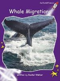 Enlarge image Cover: Whale Migrations - Red Rocket
