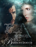 Cover: Fallende Engel - BookRix