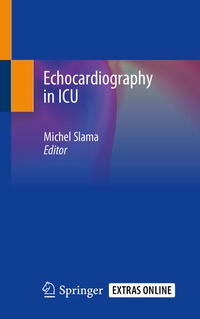 Bild: Echocardiography in ICU - Springer