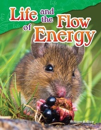 Enlarge image Cover: Life and the Flow of Energy - Teacher Created Materials, Inc