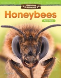 Cover: Amazing Animals: Honeybees - Teacher Created Materials, Inc