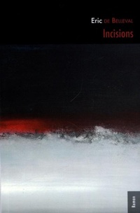 Enlarge image Cover: Incisions - L'INTERLIGNE