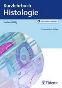 Abbildung von: Kurzlehrbuch Histologie - Thieme