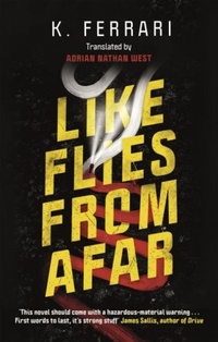 Abbildung von: Like Flies from Afar - Canongate Books