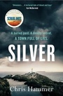 Cover: Silver - Wildfire