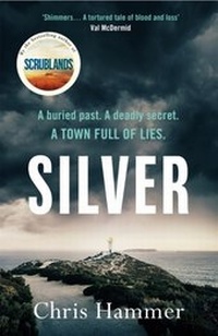 Enlarge image Cover: Silver - Wildfire