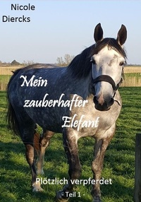 Abbildung von: Mein zauberhafter Elefant - Books on Demand
