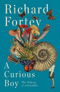Enlarge image Cover: A Curious Boy - William Collins
