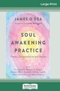 Cover: Soul Awakening Practice - READHOWYOUWANT