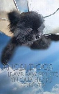 Abbildung von: Angel Dog Journal - Blurb