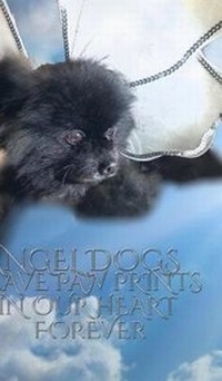 Abbildung von: Angel Dog Journal - Blurb