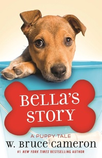 Enlarge image Cover: Bella's Story - Odd Dot
