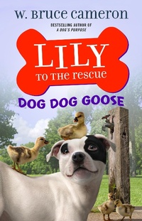 Enlarge image Cover: Lily to the Rescue: Dog Dog Goose - Odd Dot