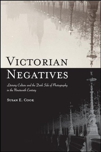 Enlarge image Cover: Victorian Negatives - De Gruyter