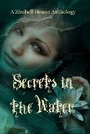 Cover: Secrets in the Water - Zimbell House Publishing, LLC