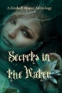 Enlarge image Cover: Secrets in the Water - Zimbell House Publishing, LLC