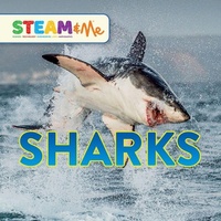 Enlarge image Cover: Sharks - Starry Forest