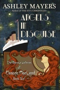 Cover: Angels in Disguise - Grass Roof Publishing