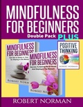 Cover: Positive thinking & Mindfulness for Beginners Combo - Ryan Zeman