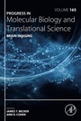 Cover: Brain Imaging - Academic Press