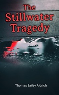 Cover: The Stillwater Tragedy - e-artnow