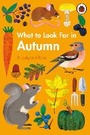 Cover: What to Look For in Autumn - Ladybird